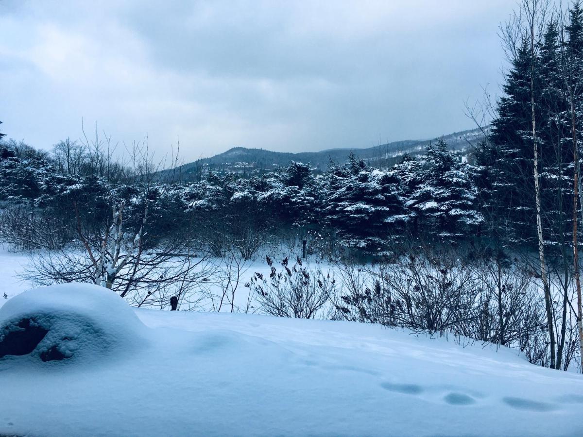 Le Boise Mont-Tremblant Apartment ภายนอก รูปภาพ
